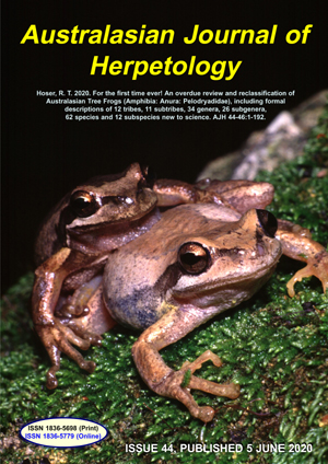 tree frog Australia frog species Australia